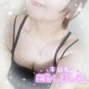 ようこ 出勤しました。 静岡駅前ちゃんこ