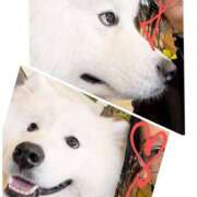 ヒメ日記 2026/02/13 15:06 投稿 笹山 涼子 ほっこりーヌ谷九店