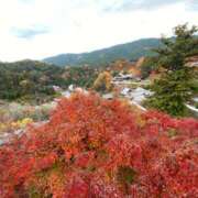 ヒメ日記 2023/11/19 09:26 投稿 寺島 まこと ほっこりーヌ谷九店