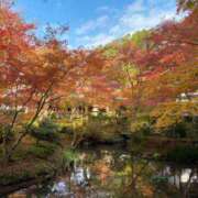 ヒメ日記 2023/12/03 08:52 投稿 寺島 まこと ほっこりーヌ谷九店