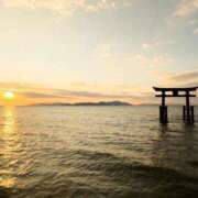 ヒメ日記 2024/12/22 09:14 投稿 寺島 まこと ほっこりーヌ谷九店