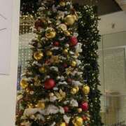 ヒメ日記 2024/12/25 08:41 投稿 寺島 まこと ほっこりーヌ谷九店