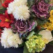 ヒメ日記 2024/12/29 09:15 投稿 寺島 まこと ほっこりーヌ谷九店