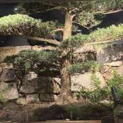 ヒメ日記 2025/01/26 08:50 投稿 寺島 まこと ほっこりーヌ谷九店