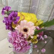 ヒメ日記 2025/01/29 21:49 投稿 寺島 まこと ほっこりーヌ谷九店