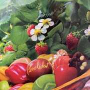 ヒメ日記 2025/02/12 09:22 投稿 寺島 まこと ほっこりーヌ谷九店