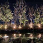 ヒメ日記 2025/02/16 08:33 投稿 寺島 まこと ほっこりーヌ谷九店