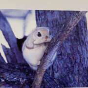 ヒメ日記 2025/02/23 08:26 投稿 寺島 まこと ほっこりーヌ谷九店