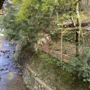 ヒメ日記 2025/02/26 20:05 投稿 寺島 まこと ほっこりーヌ谷九店