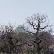 ヒメ日記 2025/03/23 21:31 投稿 寺島 まこと ほっこりーヌ谷九店