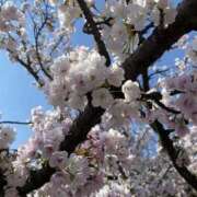 ヒメ日記 2025/04/09 09:25 投稿 寺島 まこと ほっこりーヌ谷九店