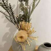 ヒメ日記 2025/05/18 08:20 投稿 寺島 まこと ほっこりーヌ谷九店