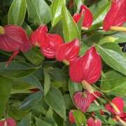 ヒメ日記 2025/06/15 22:19 投稿 寺島 まこと ほっこりーヌ谷九店