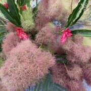 ヒメ日記 2025/06/22 08:44 投稿 寺島 まこと ほっこりーヌ谷九店