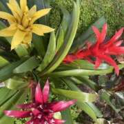 ヒメ日記 2025/07/09 08:28 投稿 寺島 まこと ほっこりーヌ谷九店