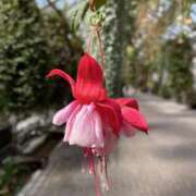 ヒメ日記 2025/07/20 08:17 投稿 寺島 まこと ほっこりーヌ谷九店