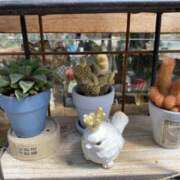 ヒメ日記 2025/07/27 21:18 投稿 寺島 まこと ほっこりーヌ谷九店