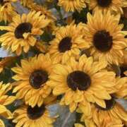 ヒメ日記 2025/07/30 08:39 投稿 寺島 まこと ほっこりーヌ谷九店