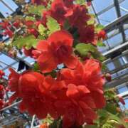 ヒメ日記 2025/08/06 08:25 投稿 寺島 まこと ほっこりーヌ谷九店