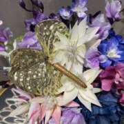 ヒメ日記 2025/08/10 08:19 投稿 寺島 まこと ほっこりーヌ谷九店