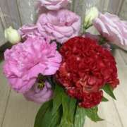 ヒメ日記 2025/08/10 21:51 投稿 寺島 まこと ほっこりーヌ谷九店