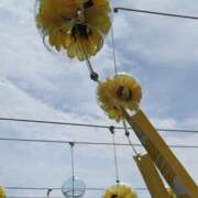 ヒメ日記 2025/08/17 08:34 投稿 寺島 まこと ほっこりーヌ谷九店