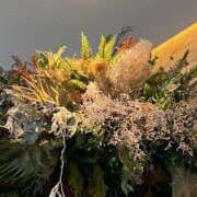 ヒメ日記 2025/08/24 10:15 投稿 寺島 まこと ほっこりーヌ谷九店