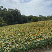 ヒメ日記 2025/08/27 08:43 投稿 寺島 まこと ほっこりーヌ谷九店