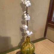 ヒメ日記 2025/09/14 08:21 投稿 寺島 まこと ほっこりーヌ谷九店