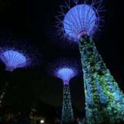 ヒメ日記 2025/10/08 21:52 投稿 寺島 まこと ほっこりーヌ谷九店