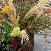 ヒメ日記 2025/10/12 08:46 投稿 寺島 まこと ほっこりーヌ谷九店