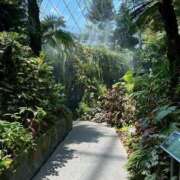 ヒメ日記 2025/10/26 09:03 投稿 寺島 まこと ほっこりーヌ谷九店