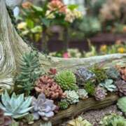 ヒメ日記 2025/10/29 09:19 投稿 寺島 まこと ほっこりーヌ谷九店