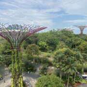 ヒメ日記 2025/11/09 08:59 投稿 寺島 まこと ほっこりーヌ谷九店