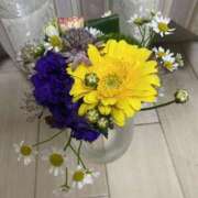 ヒメ日記 2025/11/26 20:47 投稿 寺島 まこと ほっこりーヌ谷九店