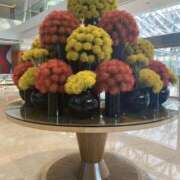 ヒメ日記 2025/11/30 08:37 投稿 寺島 まこと ほっこりーヌ谷九店