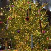 ヒメ日記 2025/12/03 09:33 投稿 寺島 まこと ほっこりーヌ谷九店