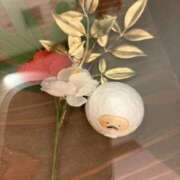 ヒメ日記 2026/01/14 21:19 投稿 寺島 まこと ほっこりーヌ谷九店