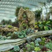 ヒメ日記 2026/01/25 08:37 投稿 寺島 まこと ほっこりーヌ谷九店