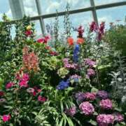 ヒメ日記 2026/01/28 08:51 投稿 寺島 まこと ほっこりーヌ谷九店