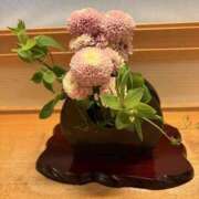 ヒメ日記 2026/02/08 08:38 投稿 寺島 まこと ほっこりーヌ谷九店