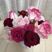 ヒメ日記 2026/02/11 22:32 投稿 寺島 まこと ほっこりーヌ谷九店