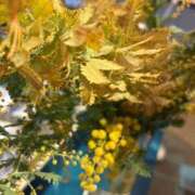 ヒメ日記 2026/02/22 09:23 投稿 寺島 まこと ほっこりーヌ谷九店