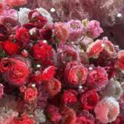 ヒメ日記 2026/03/08 08:28 投稿 寺島 まこと ほっこりーヌ谷九店