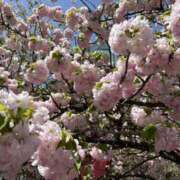 寺島 まこと ※無題 ほっこりーヌ谷九店