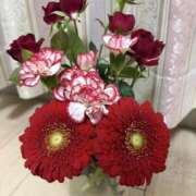 寺島 まこと ※無題 ほっこりーヌ谷九店