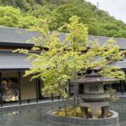 ヒメ日記 2026/06/03 08:52 投稿 寺島 まこと ほっこりーヌ谷九店