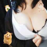 ヒメ日記 2025/06/12 14:36 投稿 利根川　あきら エテルナ京都