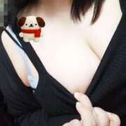 ヒメ日記 2025/10/20 09:50 投稿 利根川　あきら エテルナ京都