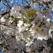 りんこ 1、2、3月ありがとうございました チアガール